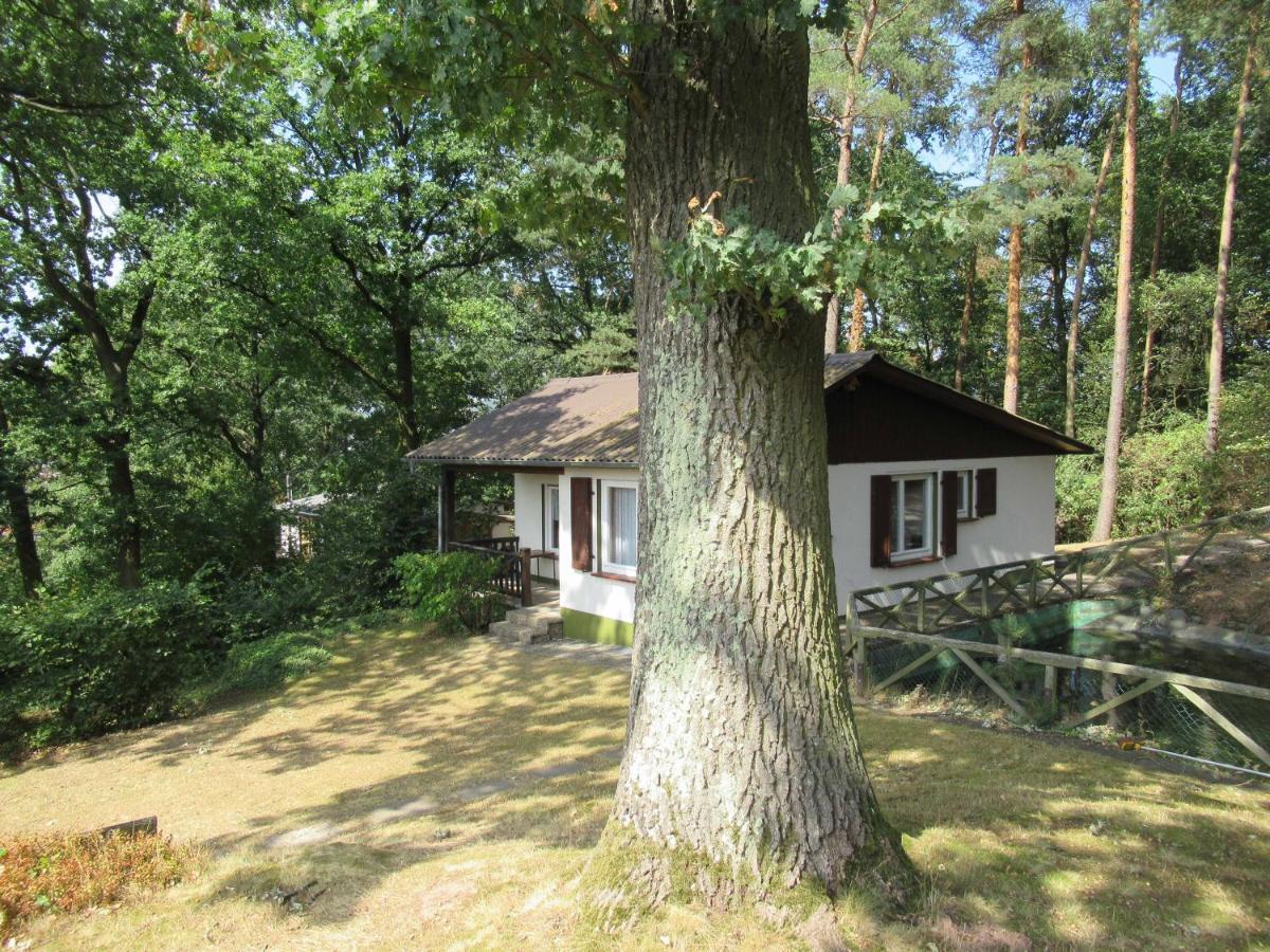 Feriendorf Mengshausen Niederaula Zewnętrze zdjęcie
